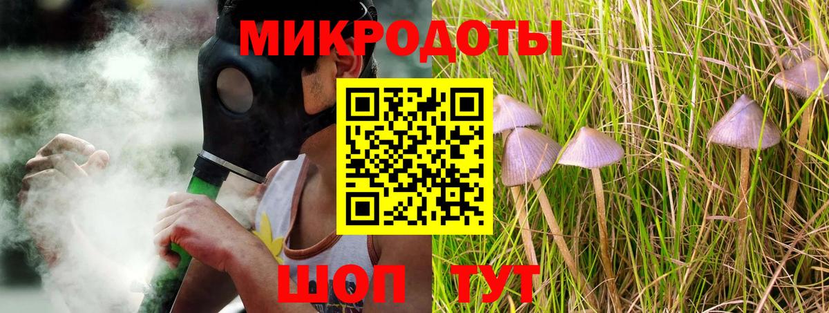 Псилоцибиновые грибы Psilocybine cubensis Архангельск