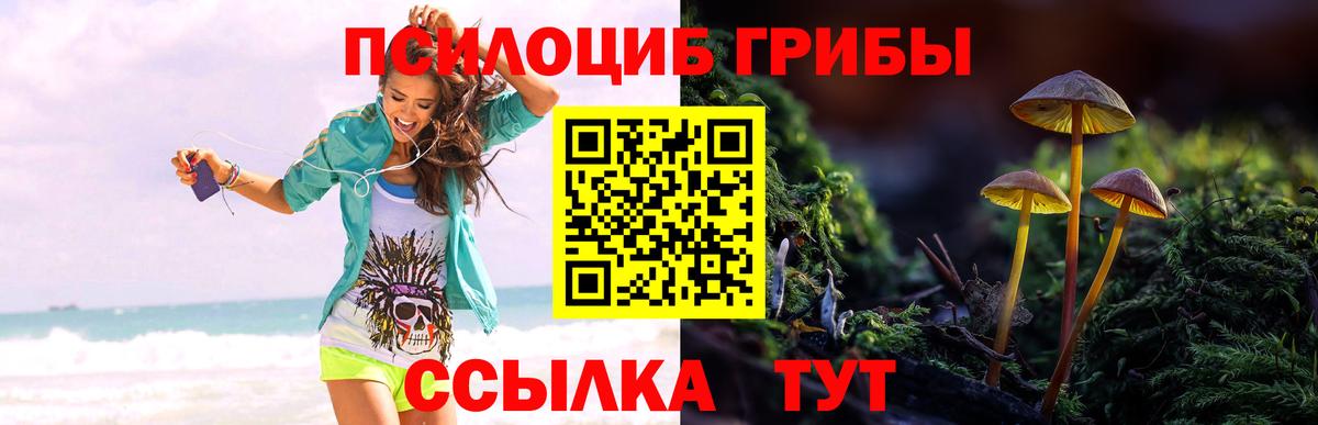 Архангельск  Псилоцибиновые грибы ЛСД  Вход с VPN 